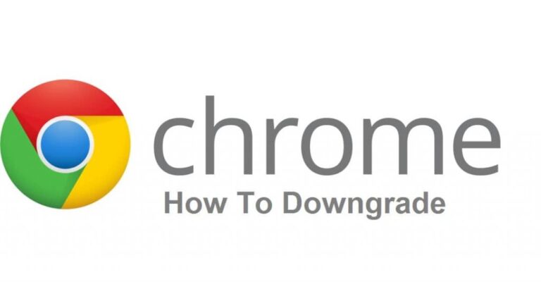 chrome canary download offline